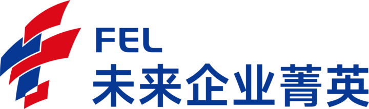 Future Enterprise Leaders International logo